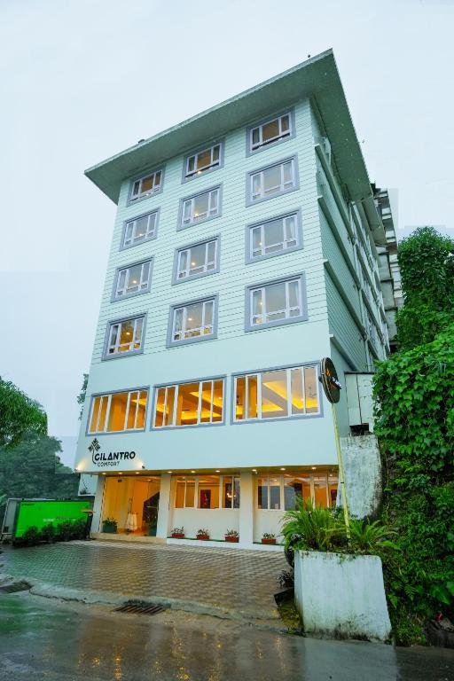 Cilantro Comfort Gangtok